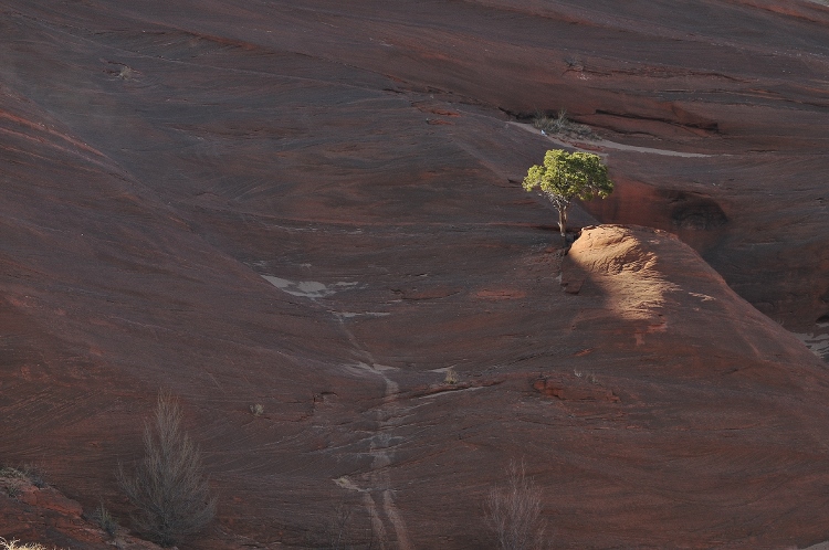 Red Rock Park
